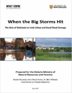Wetlands Report Cover