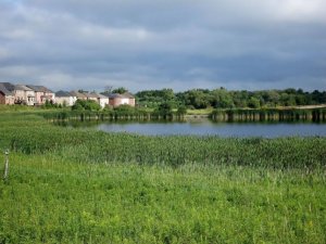 Natural Infrastructure of Wetlands near Homes
