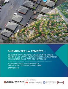 Report Cover - Surmonter La Tempête