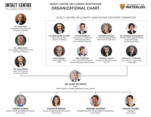 Intact Centre Organization Chart