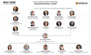 Intact Centre Organization Chart