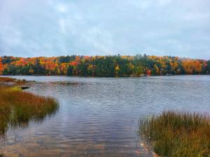 Fall