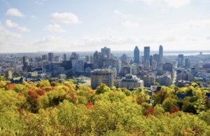 A wide-angle shot of Mount Royal in Montreal